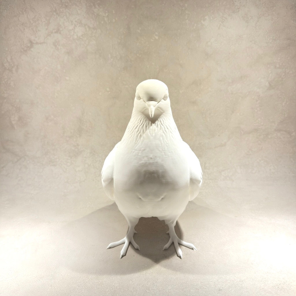 PEGION | V-Forge 3D